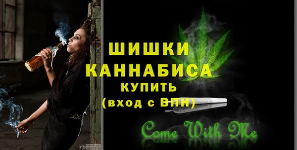 молекула духа Богданович