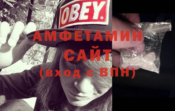 молекула духа Богданович