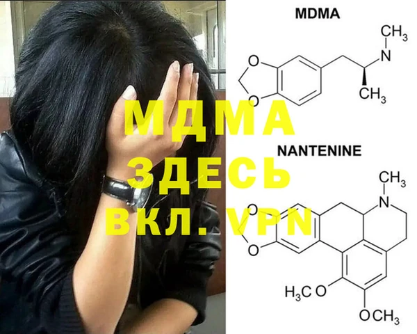 молекула духа Богданович