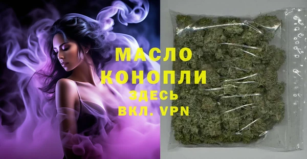 молекула духа Богданович