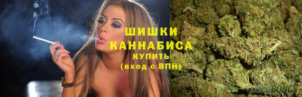 гидра Белоозёрский
