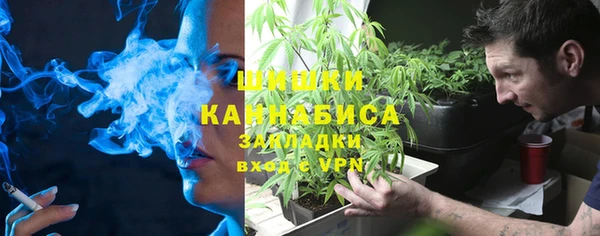 молекула духа Богданович