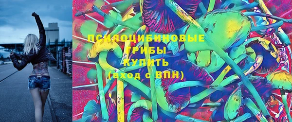 гашик Белокуриха