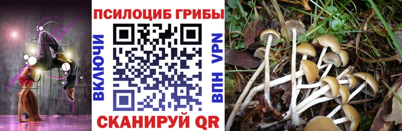 гидра tor Биробиджан Галлюциногенные грибы Psilocybe купить наркотик
